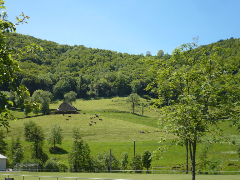 gite cantal nature