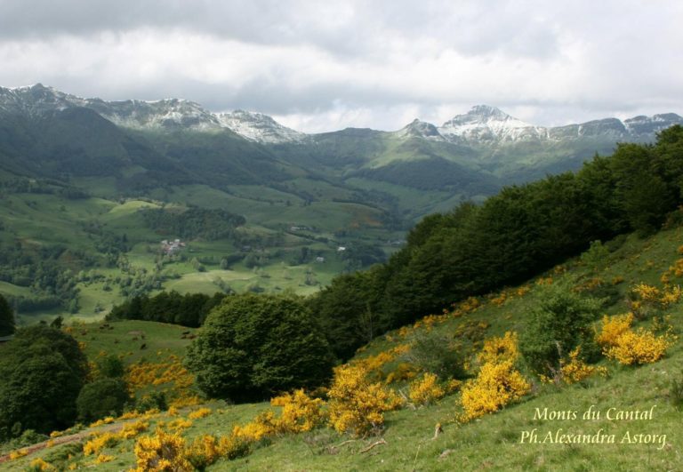 gite cantal nature