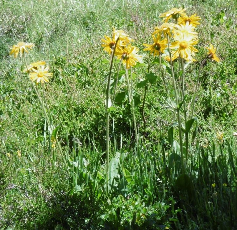 gite nature cantal