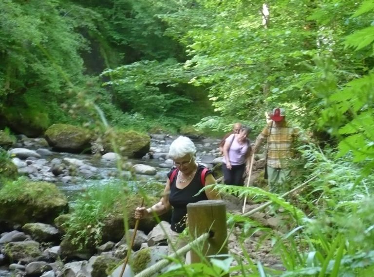 gite cantal nature